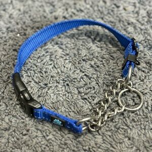 NWOT small blue with a silver chain Max & Neo collar
